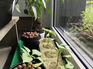 Kratky 03
