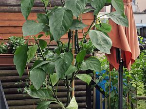20170711_165855_Richtone(HDR)