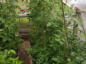 20170711_173416