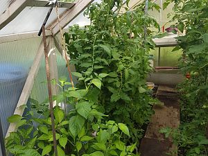 20170711_173419