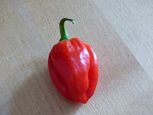 P1010064