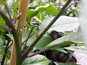 20170718_185942_Richtone(HDR)