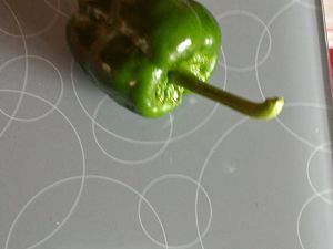 20170719_195532_Richtone(HDR)