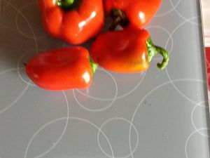 20170719_195545_Richtone(HDR)