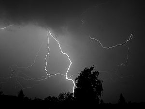 DSC09515_