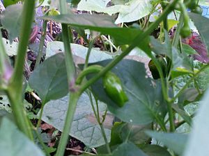 20170721_174254_Richtone(HDR)