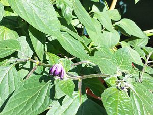 20170721_172258_Richtone(HDR)