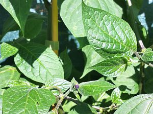 20170721_172305_Richtone(HDR)