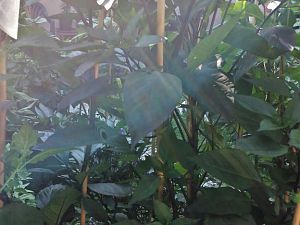 20170721_173645_Richtone(HDR)