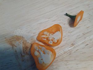 Orange Lantern halbiert