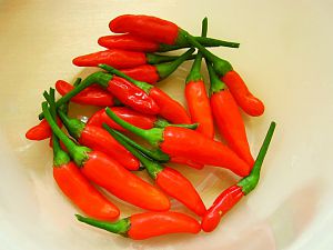Reife Tabasco