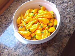 Fatalii 347g