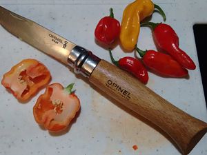 Chili Verkostung