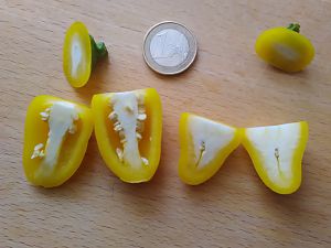 N. LemonSpice halbiert