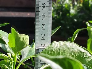 20170803_174359_Richtone(HDR)