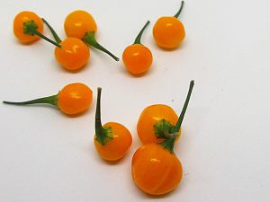 Charapita