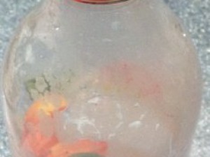 Saftdruckflasche