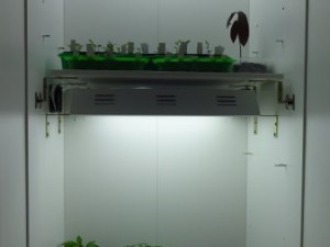 Grow_Schrank_Ausbau_3