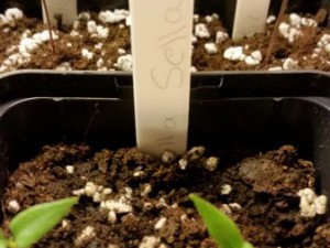 20160206_165540