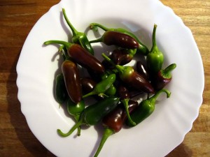 Ernte_Jalapeno_brown_20160209