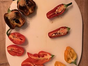 IMG_9577