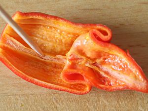 20170815-trinidad-scorpion-long-sr-HM6C8394
