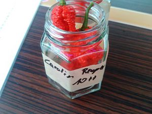 IMG-20170819-WA0014