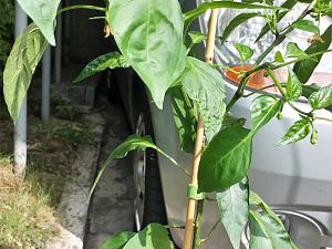 20170821_160050_Richtone(HDR)