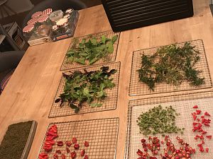 IMG_0760