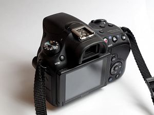 IMGP2293