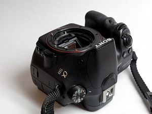 IMGP2295