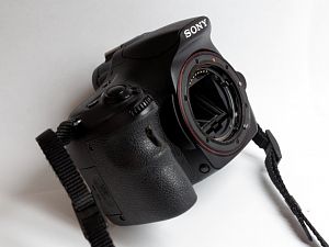 IMGP2300