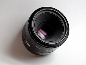 IMGP2315