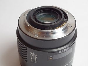 IMGP2317