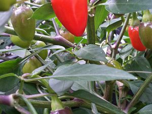 20170828_164518_Richtone(HDR)