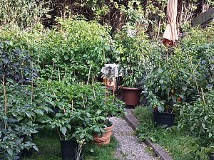 20170828_164754_Richtone(HDR)
