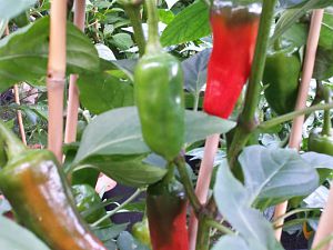 20170828_171958_Richtone(HDR)