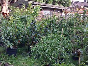 20170828_164802_Richtone(HDR)