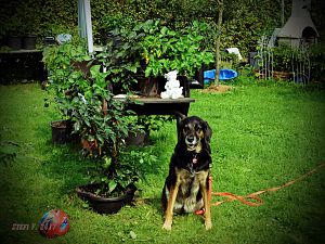 Berta