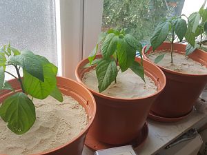 20170829_130007