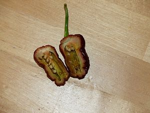 P1010104