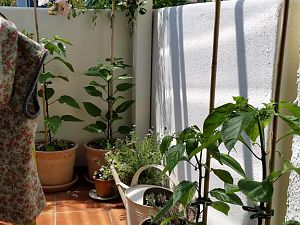 20170528_124551