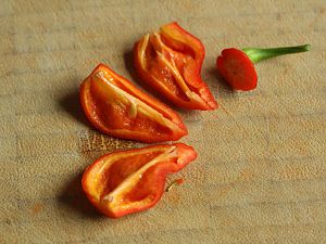 20170903-trinidad-scorpion-long-sr-HM6C8795