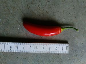 IMG_20170904_153851
