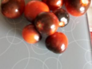 20170904_130809_Richtone(HDR)