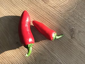 Jalapeno