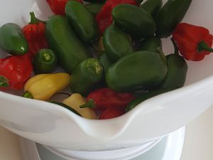 20170910_105149