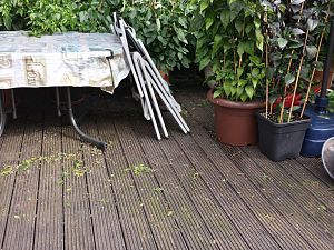 20170913_154046_Richtone(HDR)