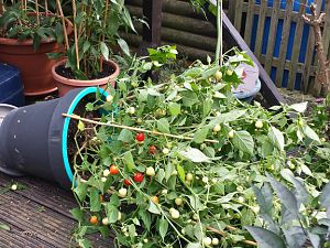 20170913_154036_Richtone(HDR) (1)