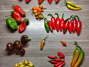IMG_20170913_205645-01